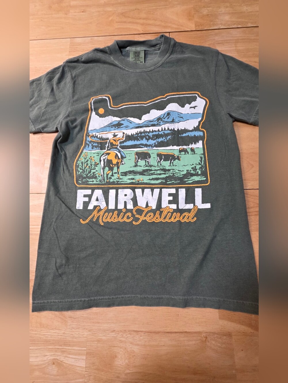 Fairwell Music Festival T-Shirt Small S Comfort Colors 2025 Tour Tyler Childers - Picture 4 of 7
